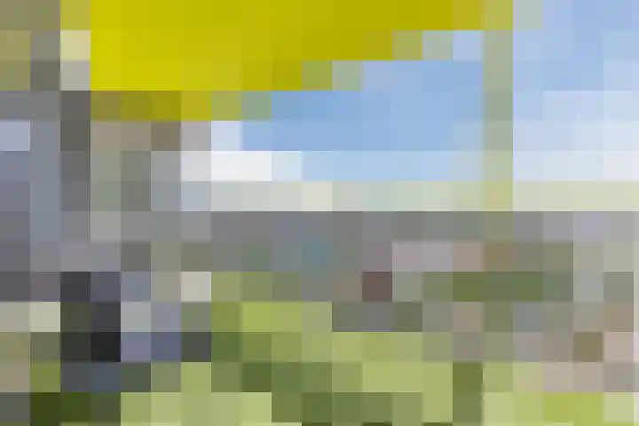 Prelude 63 Zaandam thumbnail 30