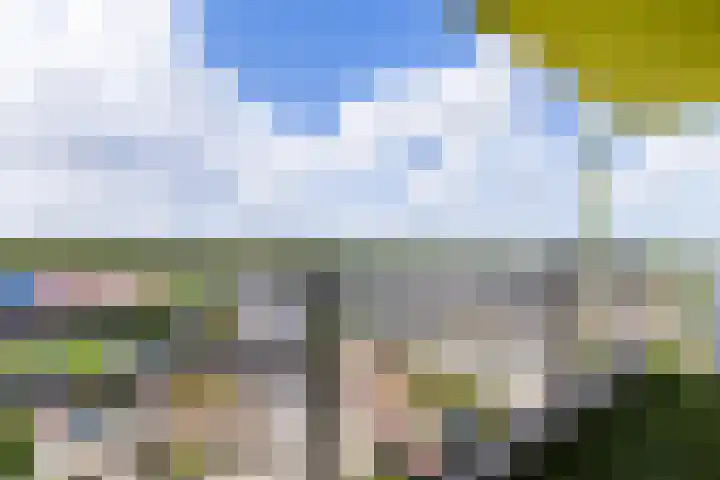 Prelude 63 Zaandam thumbnail 31