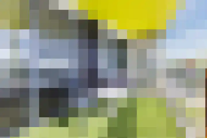 Prelude 63 Zaandam thumbnail 32