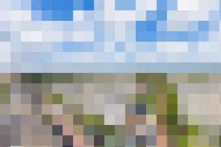 Prelude 63 Zaandam thumbnail 33
