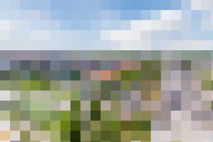 Prelude 63 Zaandam thumbnail 4