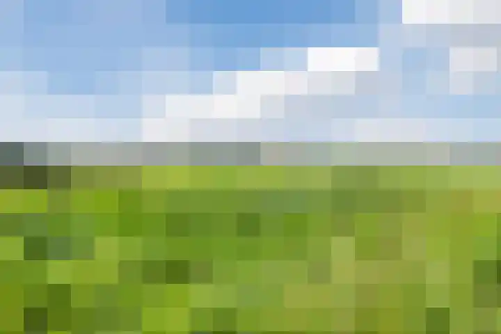 Prelude 63 Zaandam thumbnail 42