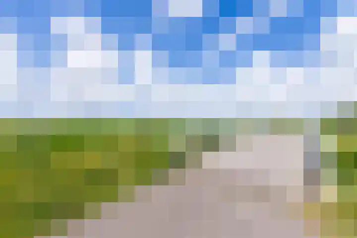 Prelude 63 Zaandam thumbnail 44