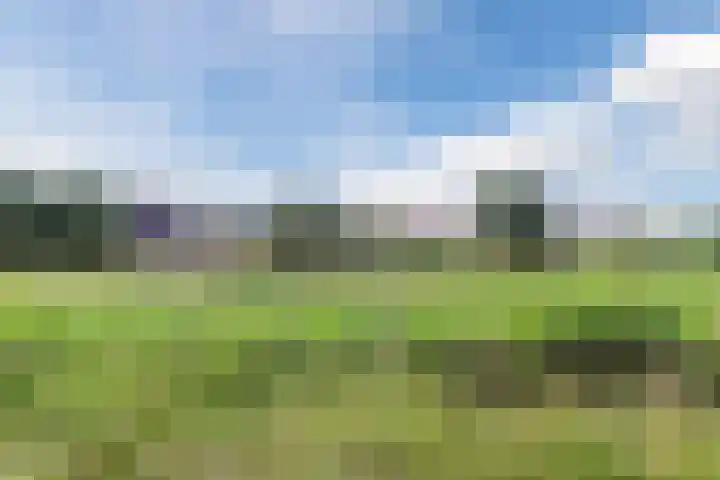 Prelude 63 Zaandam thumbnail 47