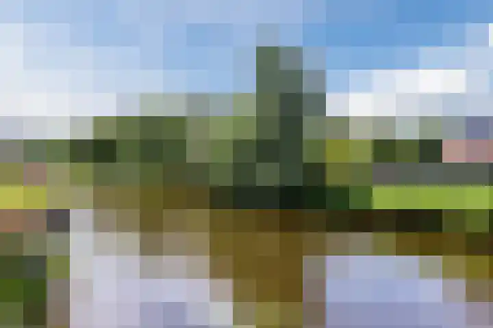 Prelude 63 Zaandam thumbnail 48
