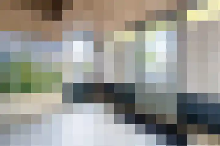 Prelude 63 Zaandam thumbnail 8