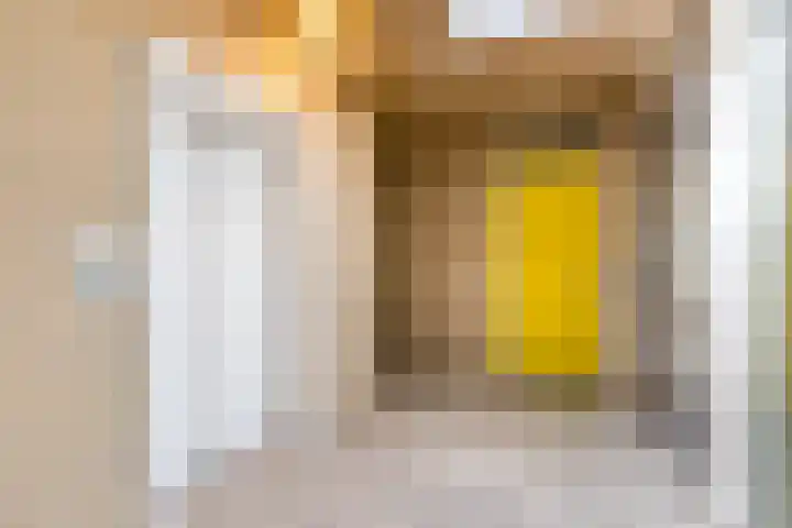 Prelude 63 Zaandam thumbnail 9