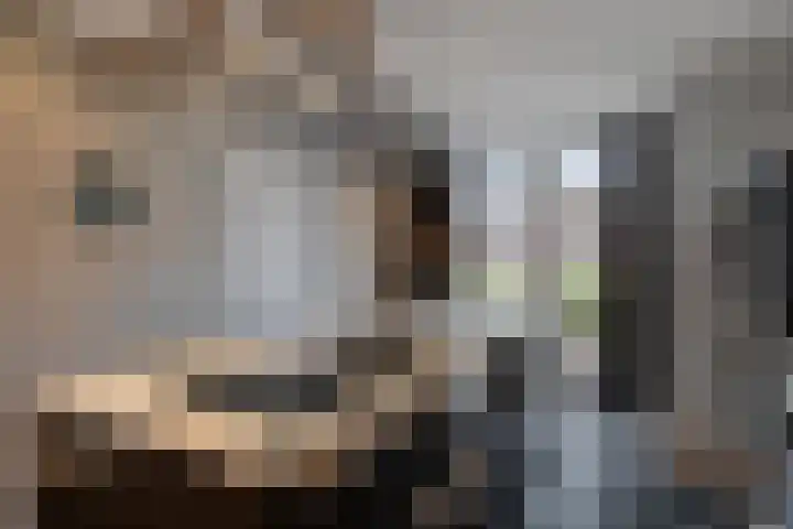 Preludehof 91 Rosmalen thumbnail 21