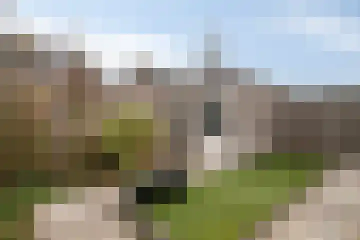 Preludehof 91 Rosmalen thumbnail 52