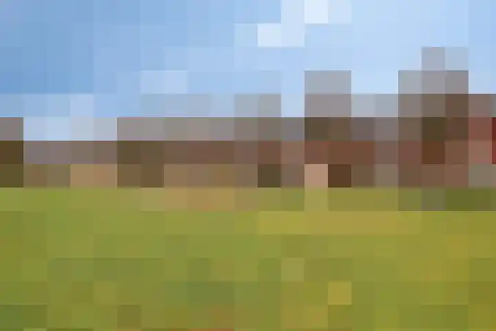Preludehof 91 Rosmalen thumbnail 56