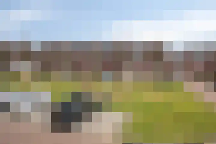 Preludehof 91 Rosmalen thumbnail 58
