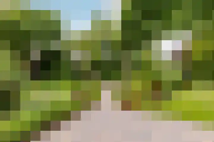 Preludestraat 12 Hellevoetsluis thumbnail 51