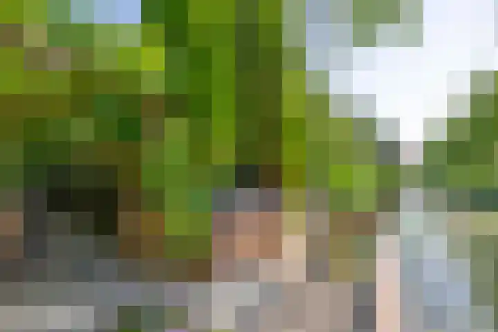 Preludestraat 6 Hellevoetsluis thumbnail 5