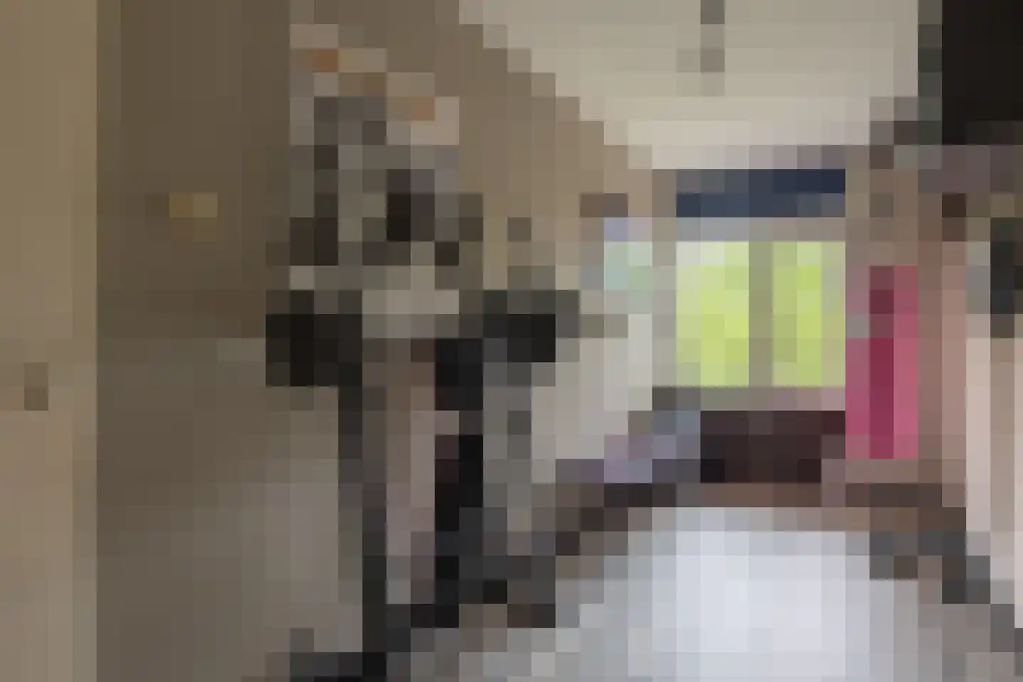 Preludeweg 368 Alphen aan den Rijn thumbnail 14