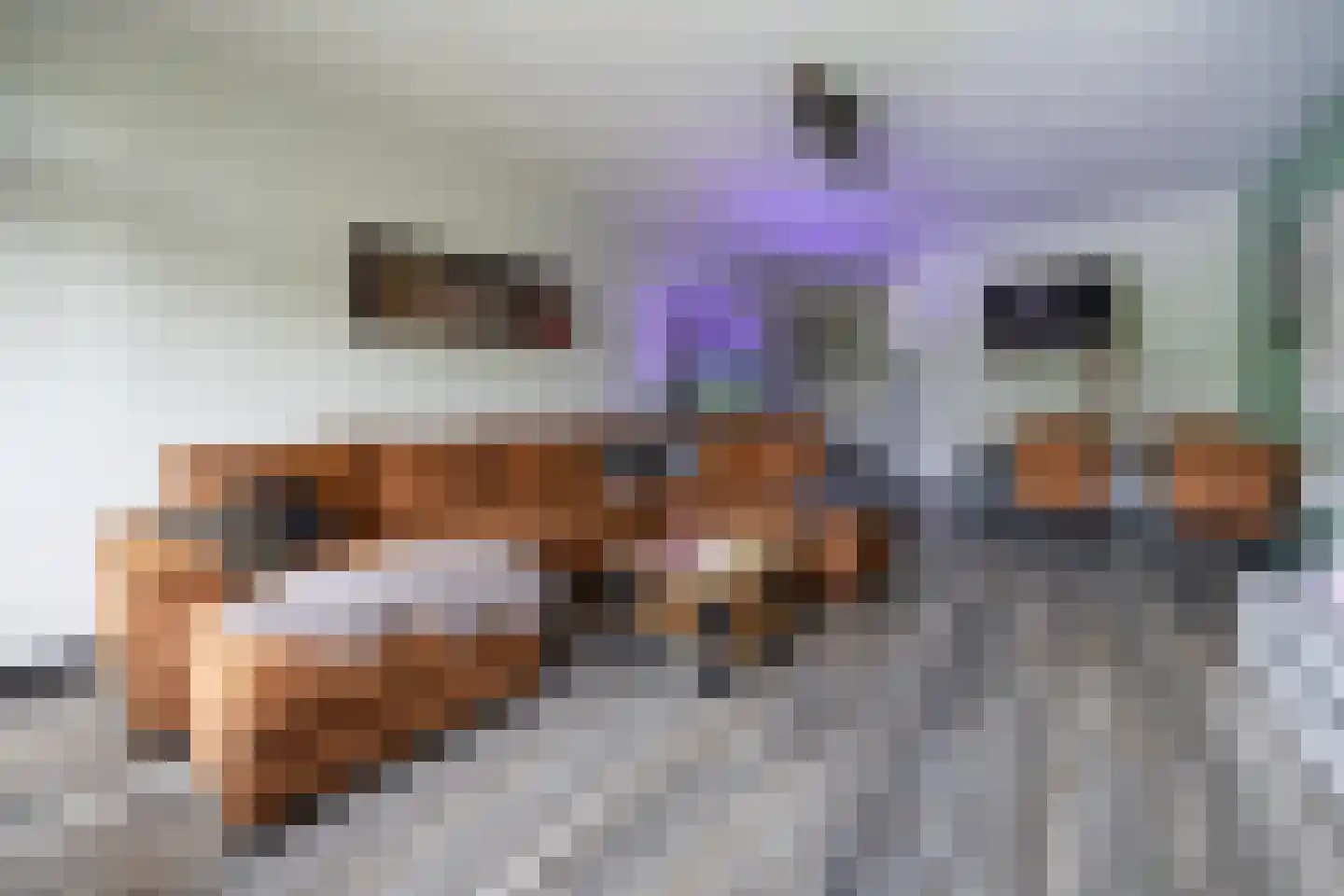 Preludeweg 368 Alphen aan den Rijn thumbnail 4