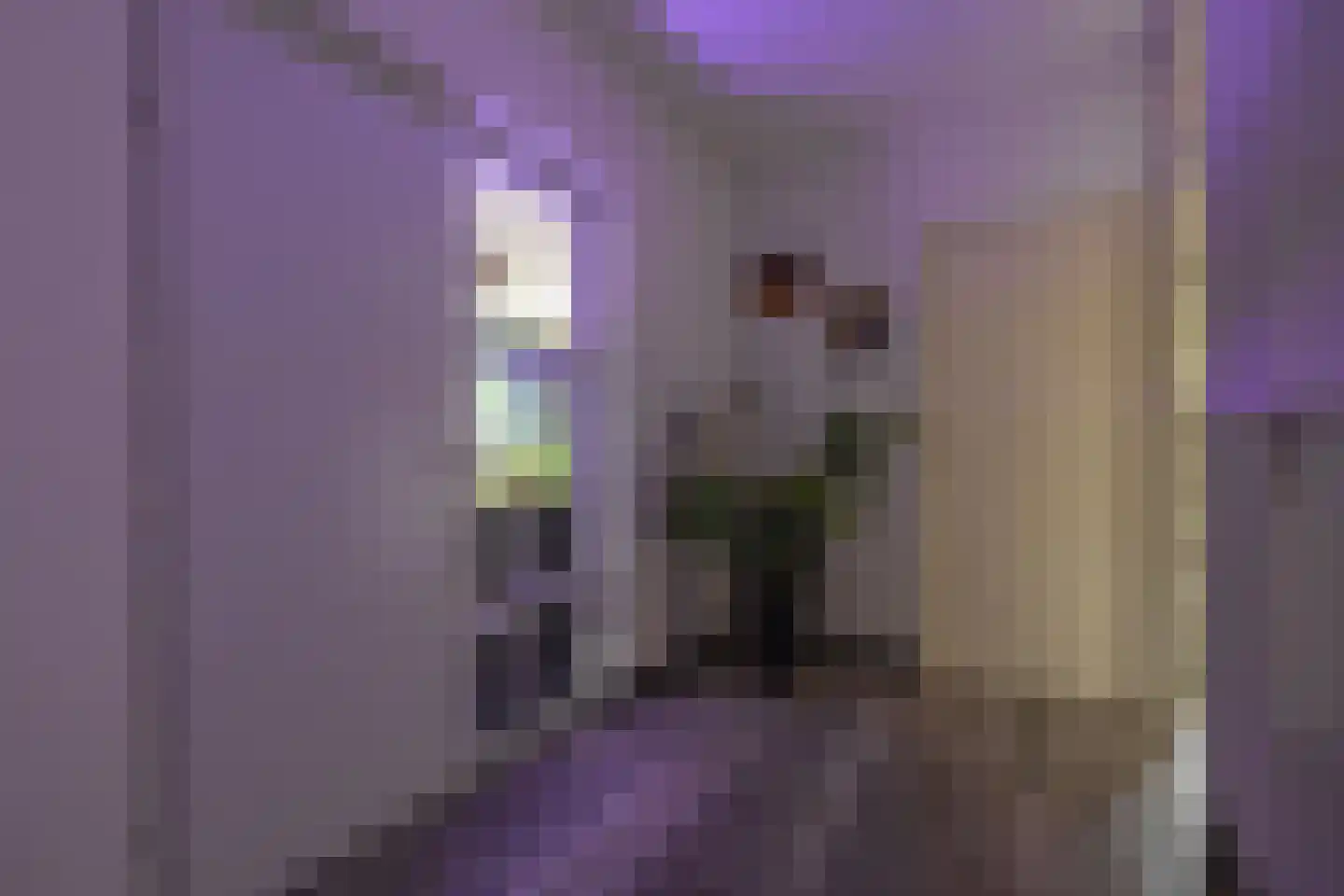 Preludeweg 368 Alphen aan den Rijn thumbnail 9