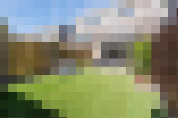 Preludeweg 37 Almere thumbnail 5