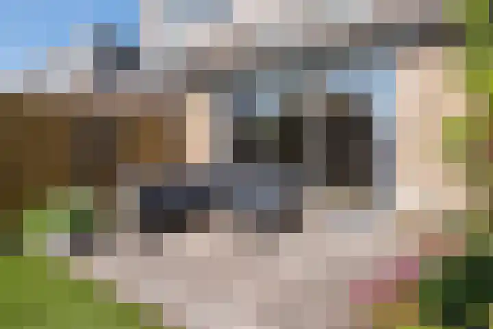 Preludeweg 37 Almere thumbnail 59