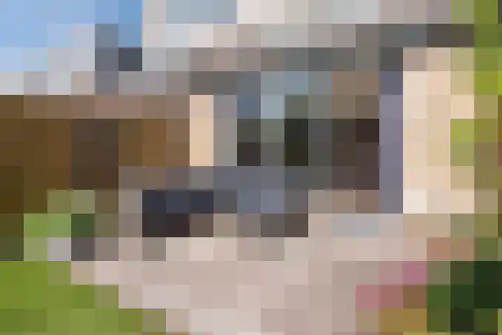 Preludeweg 37 Almere thumbnail 60