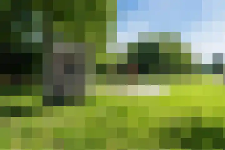 Preludeweg 37 Almere thumbnail 61