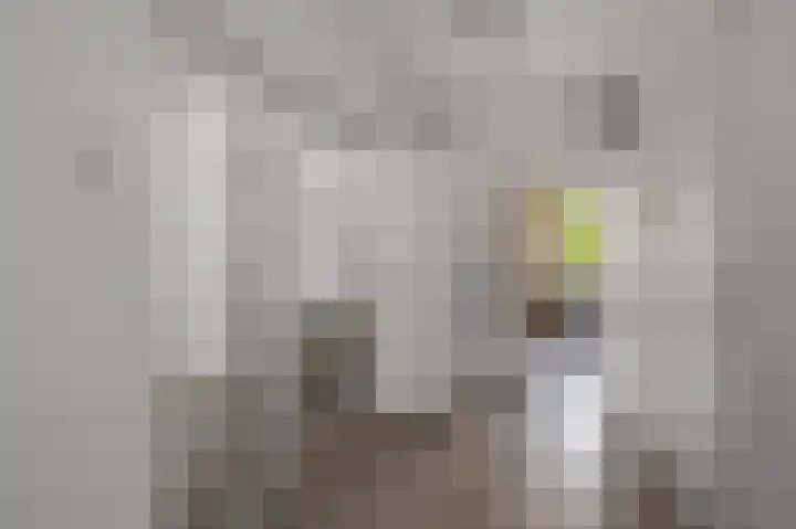 Preludeweg 464 Alphen aan den Rijn thumbnail 10