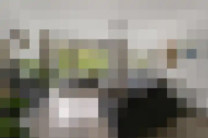 Preludeweg 464 Alphen aan den Rijn thumbnail 6