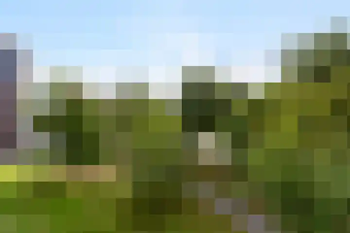Preludeweg 478 Alphen aan den Rijn thumbnail 16