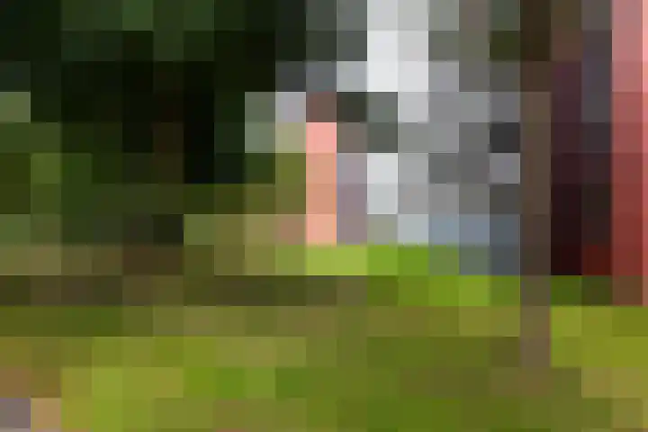 Preludeweg 478 Alphen aan den Rijn thumbnail 29