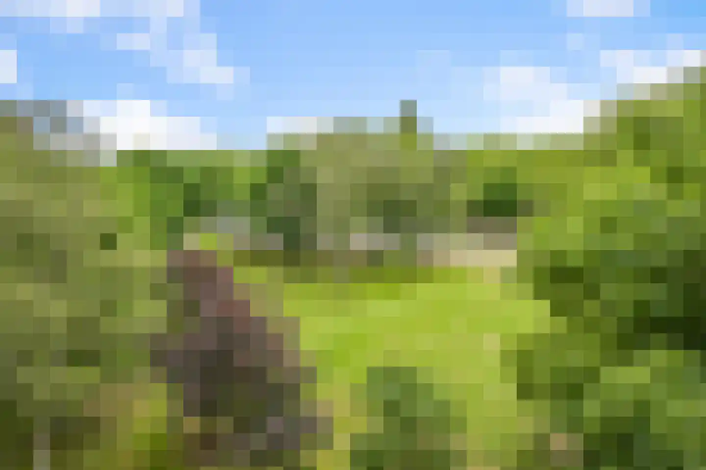 Preludeweg 600 Alphen aan den Rijn thumbnail 5