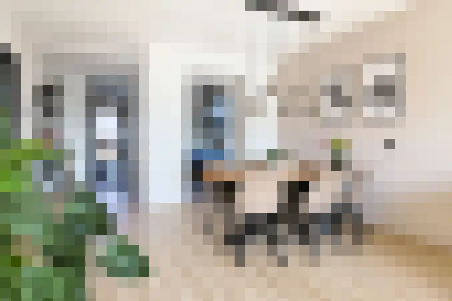 Preludeweg 624 Alphen aan den Rijn thumbnail 7