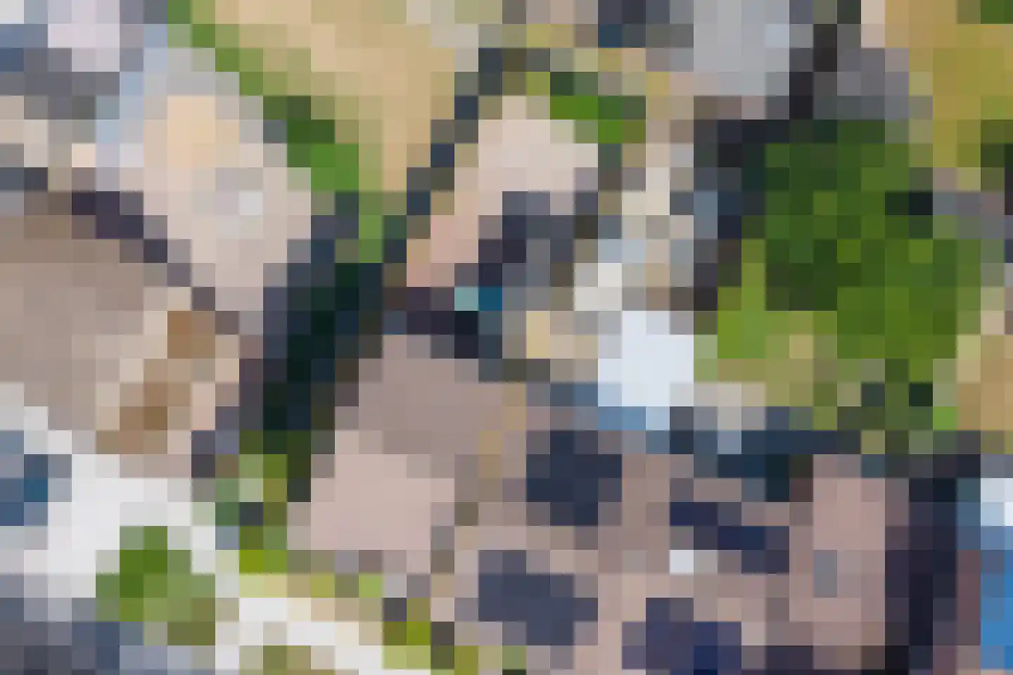 Prem 11 Landgraaf thumbnail 24