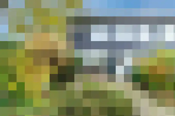 Prentsnijdershorst 101 Apeldoorn thumbnail 17