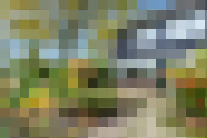 Prentsnijdershorst 101 Apeldoorn thumbnail 18