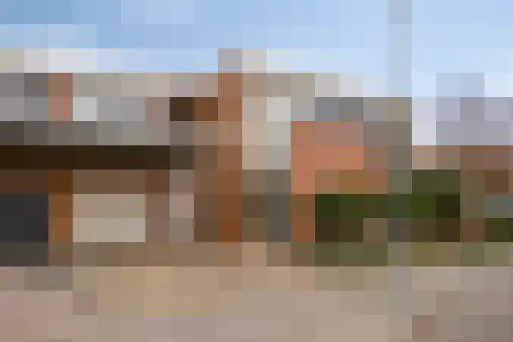 Presentpeer 9 Eijsden