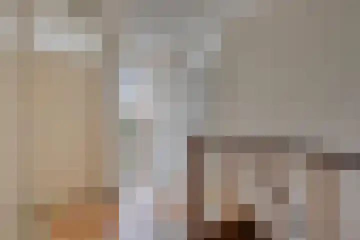Presentpeer 9 Eijsden thumbnail 16
