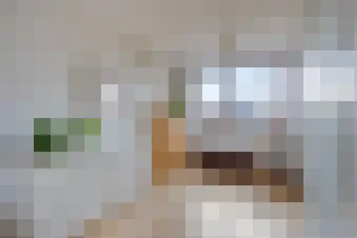 Presentpeer 9 Eijsden thumbnail 17