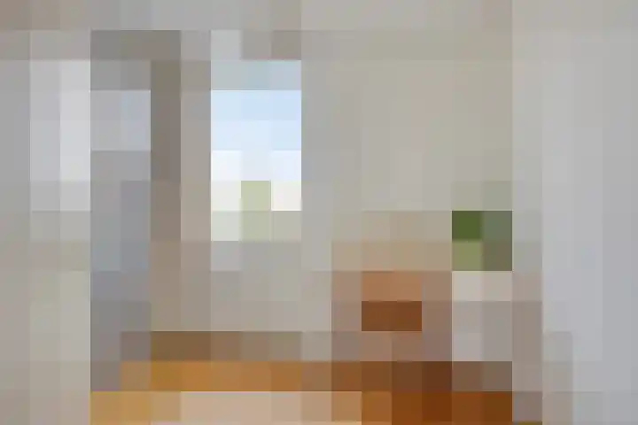 Presentpeer 9 Eijsden thumbnail 21