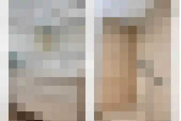 Presentpeer 9 Eijsden thumbnail 22