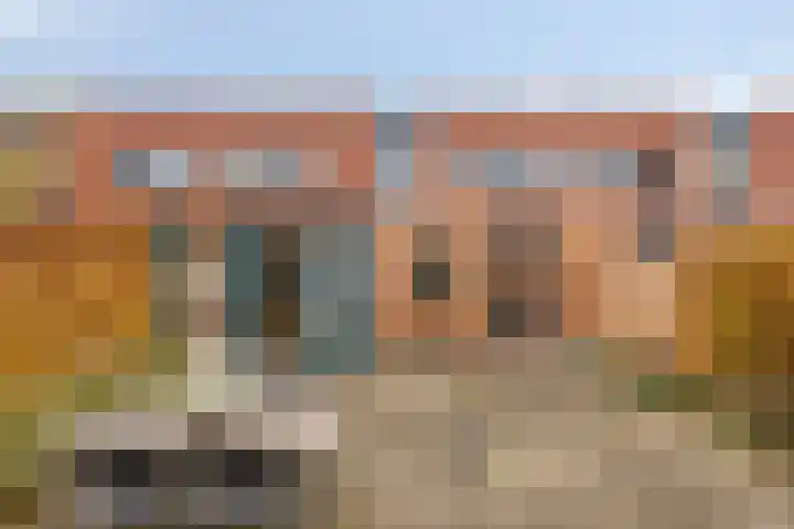 Presentpeer 9 Eijsden thumbnail 27