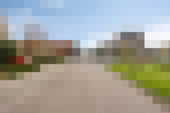 Presentpeer 9 Eijsden thumbnail 28