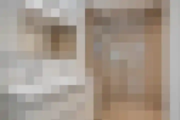 Presentpeer 9 Eijsden thumbnail 4
