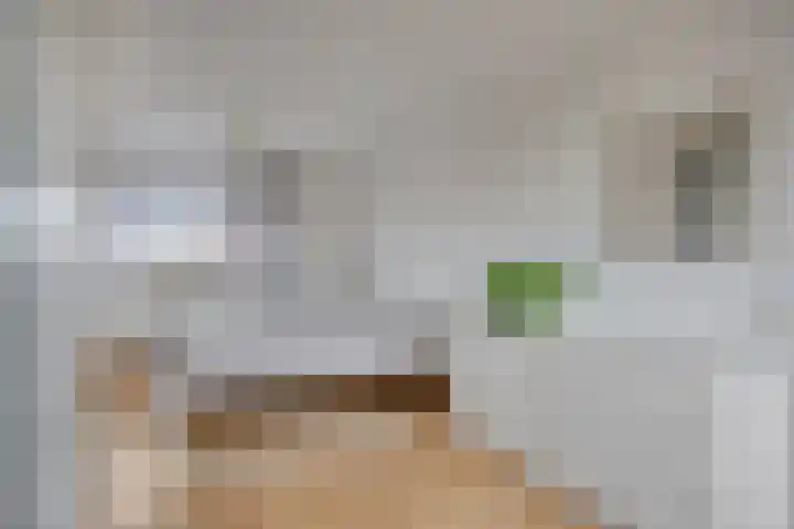 Presentpeer 9 Eijsden thumbnail 5