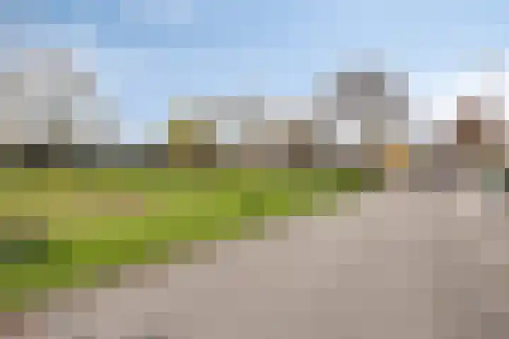 Presentpeer 9 Eijsden thumbnail 6