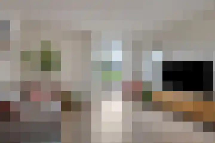 Presentpeer 9 Eijsden thumbnail 8