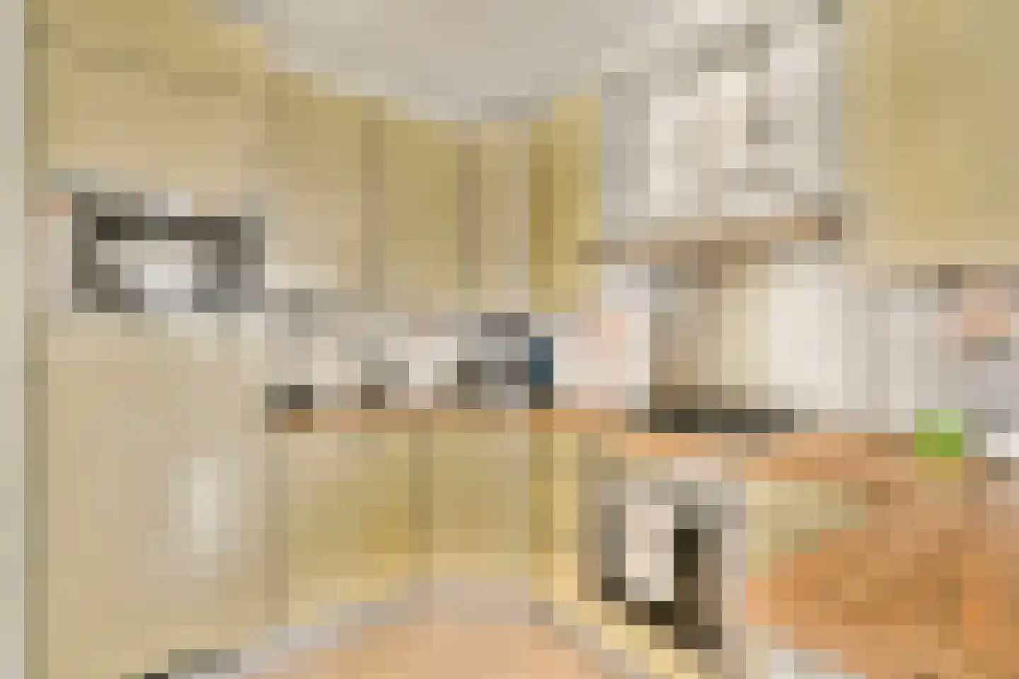 President Allendelaan 101 Amsterdam thumbnail 34