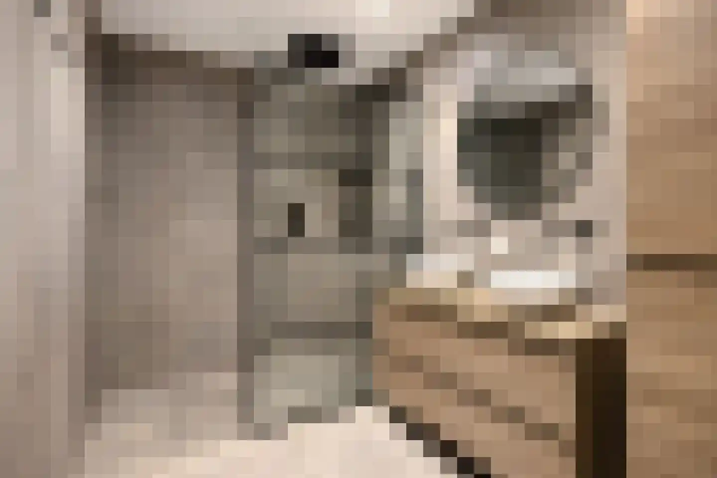 President Allendelaan 145 Amsterdam thumbnail 25