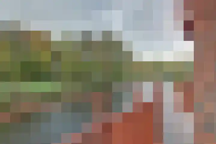 President Allendelaan 193 Amsterdam thumbnail 33