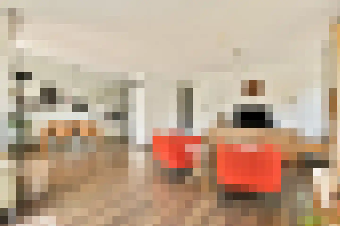 President Allendelaan 215 Amsterdam thumbnail 15