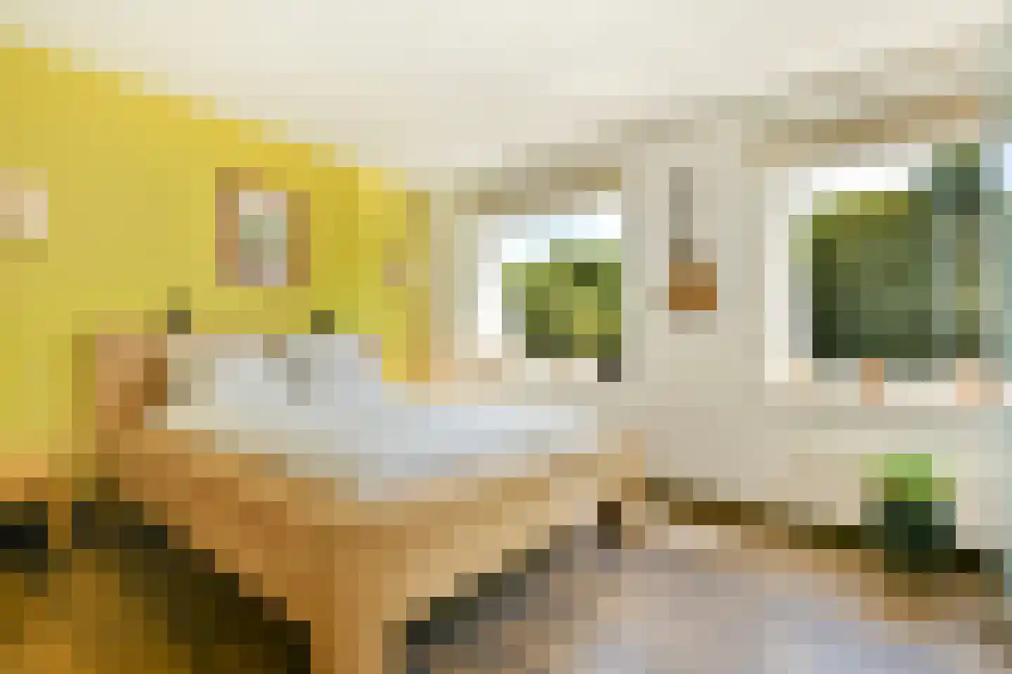 President Allendelaan 215 Amsterdam thumbnail 20