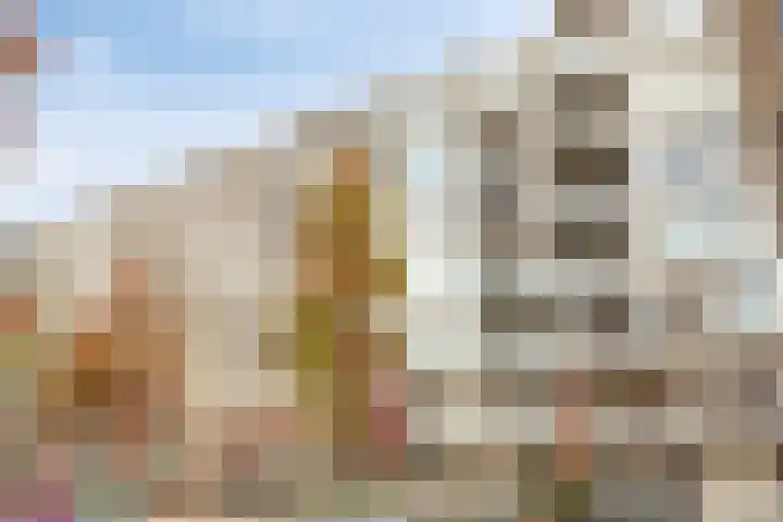 President Allendelaan 225 Amsterdam thumbnail 34
